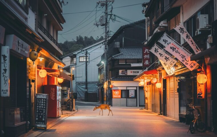 横丁が若者で埋まる夜——昭和の路地が令和に受けるわけ