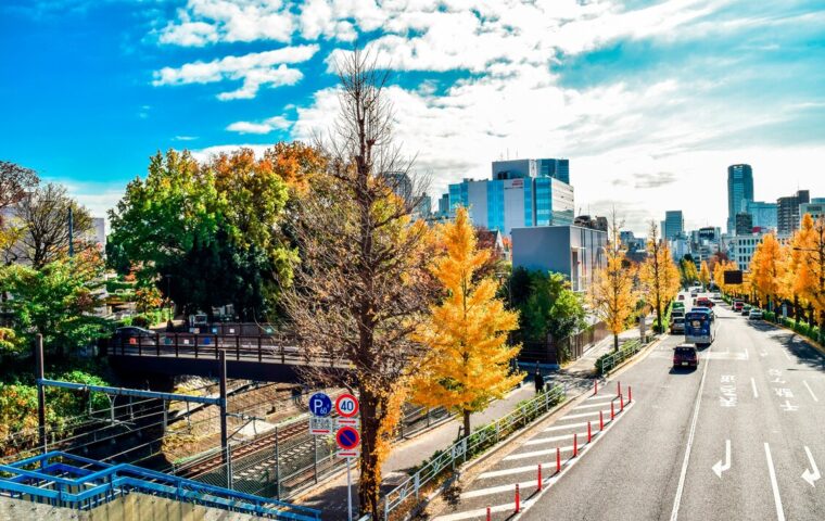 公道から閉鎖区画へ——ドリフト文化が向かった先